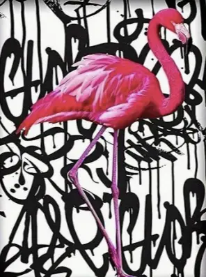 Flamant Rose Graffiti