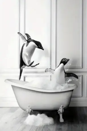 Pingouins Jouant dans la Baignoire