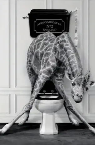 Girafe au Toilette