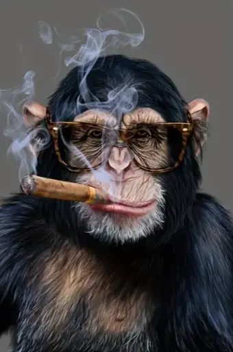 Chimpanzé qui Fume