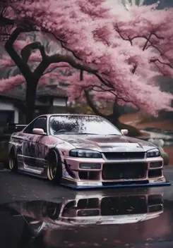 Skyline R34